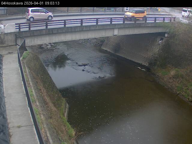 最新監視カメラ画像