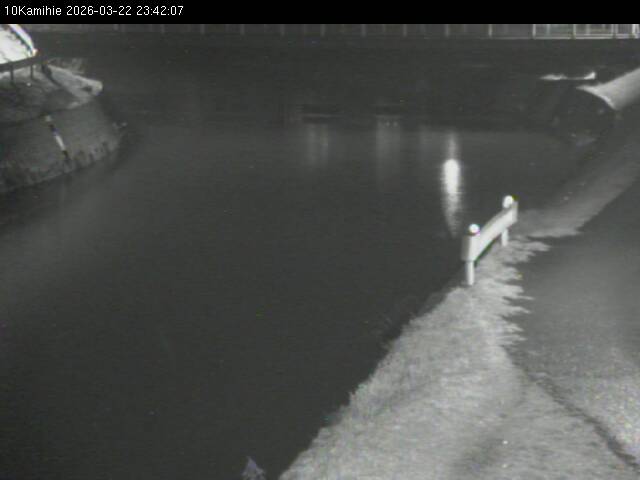 最新監視カメラ画像