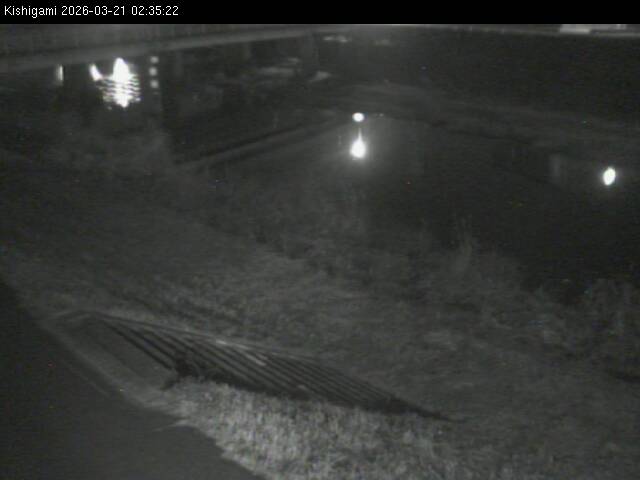 最新監視カメラ画像