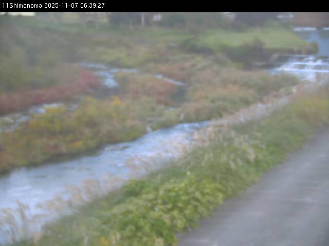 最新監視カメラ画像