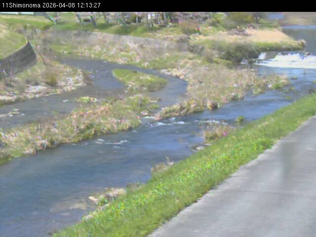 最新監視カメラ画像