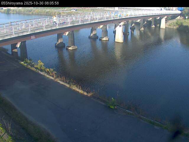 最新監視カメラ画像