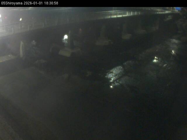 最新監視カメラ画像