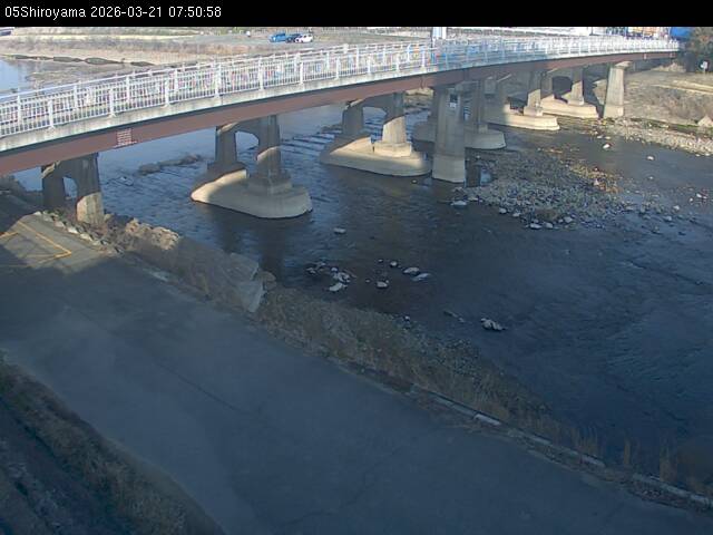 最新監視カメラ画像