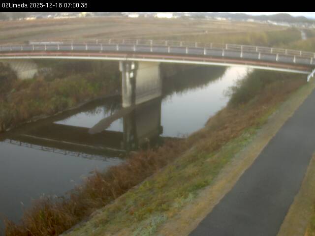 最新監視カメラ画像