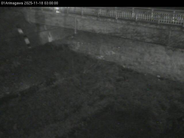 最新監視カメラ画像