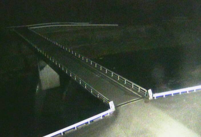 最新監視カメラ画像