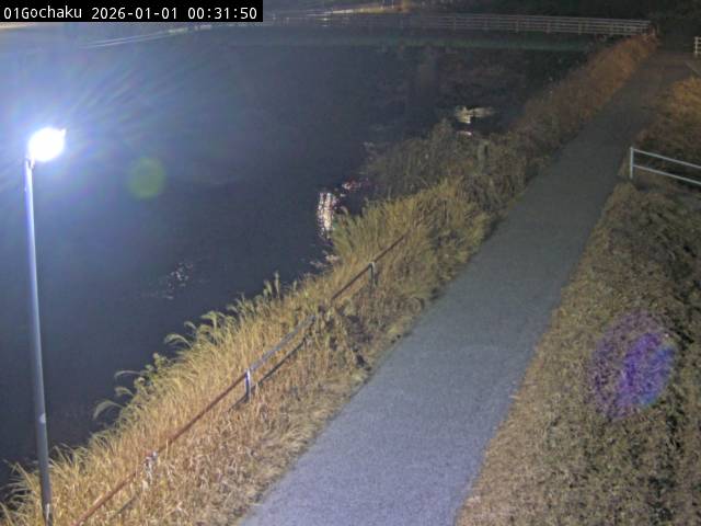 最新監視カメラ画像