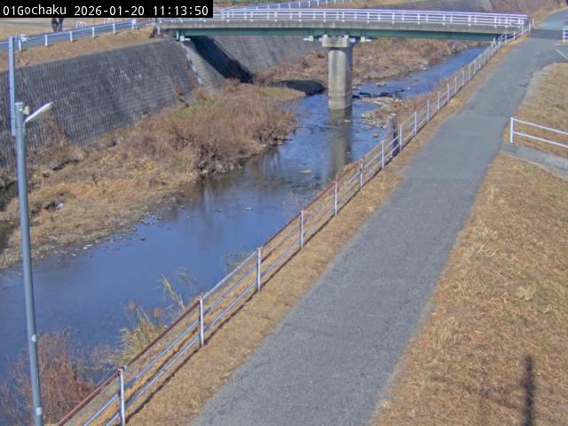 最新監視カメラ画像