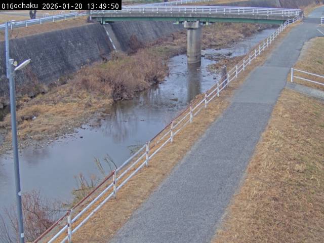 最新監視カメラ画像