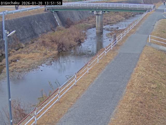 最新監視カメラ画像