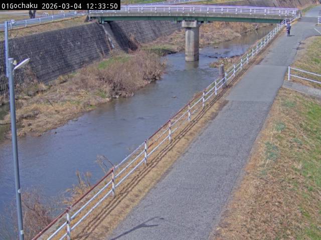 最新監視カメラ画像