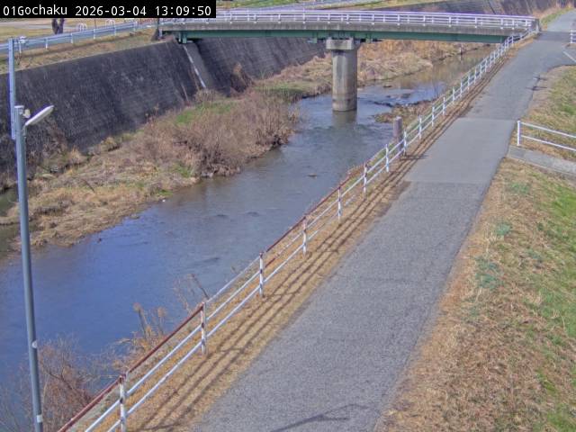 最新監視カメラ画像