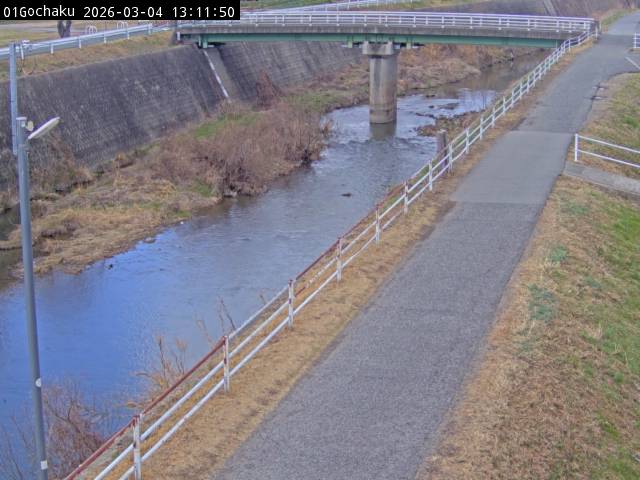 最新監視カメラ画像