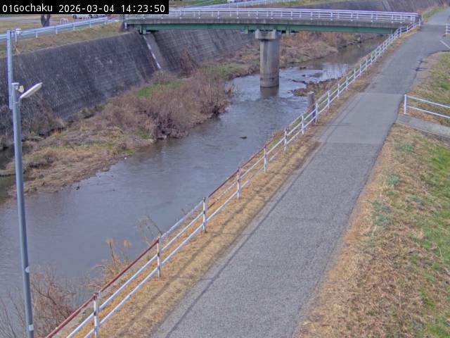 最新監視カメラ画像