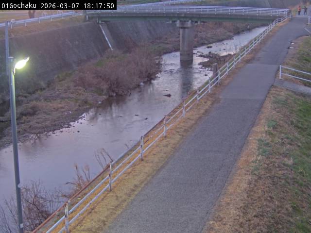 最新監視カメラ画像