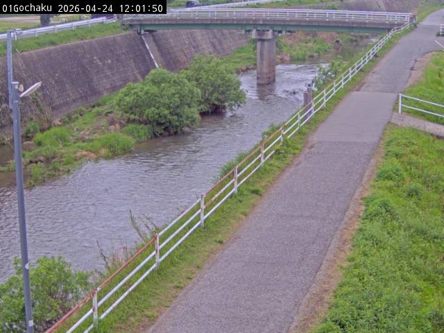 最新監視カメラ画像