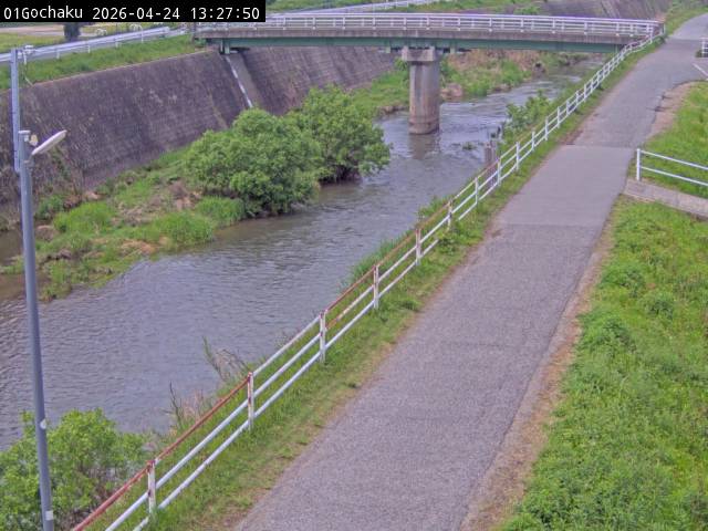 最新監視カメラ画像