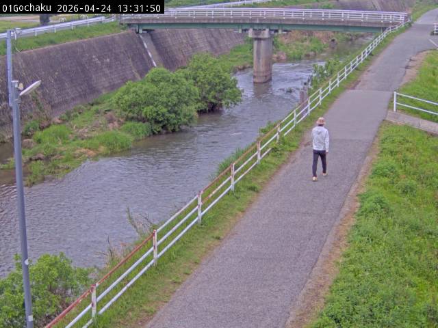 最新監視カメラ画像