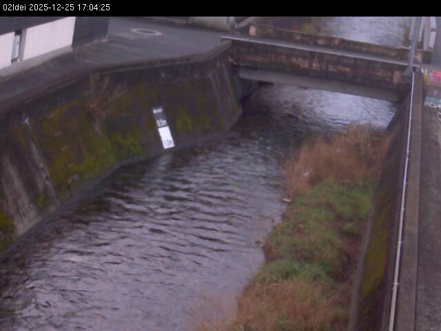 最新監視カメラ画像