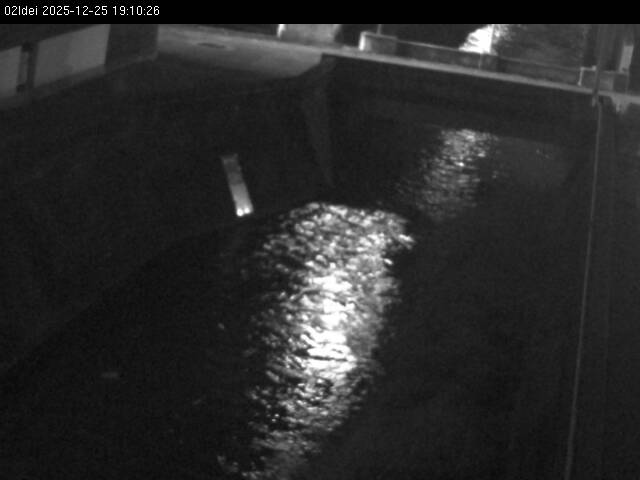 最新監視カメラ画像