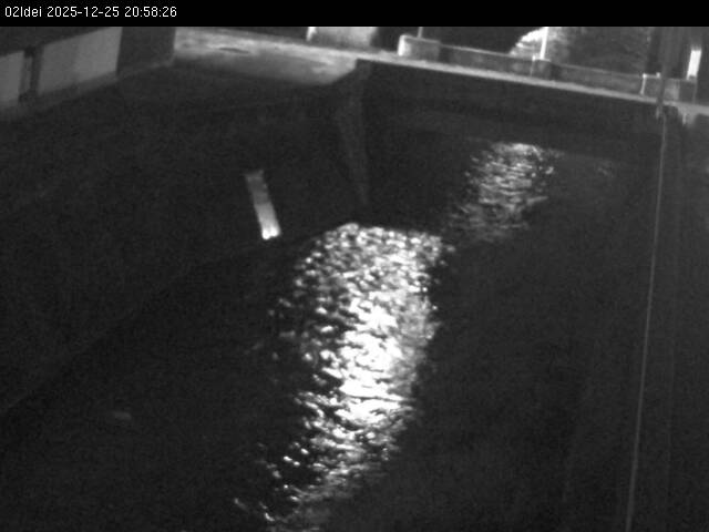 最新監視カメラ画像