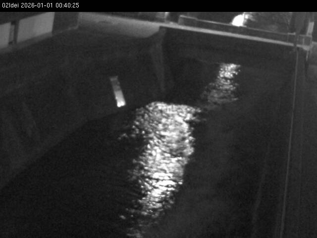 最新監視カメラ画像