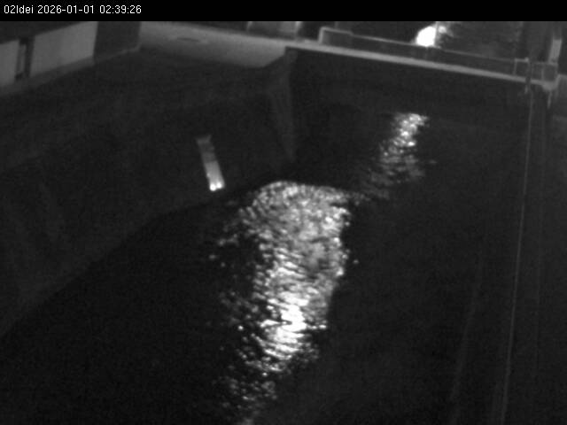 最新監視カメラ画像