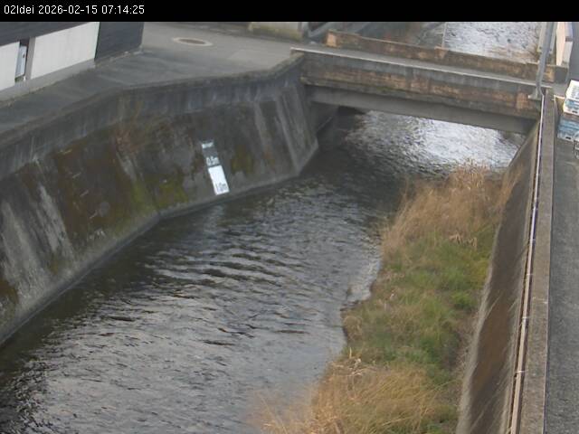 最新監視カメラ画像