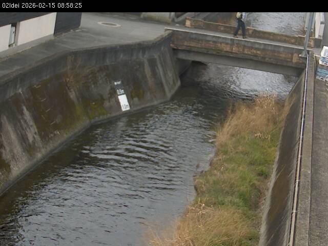 最新監視カメラ画像