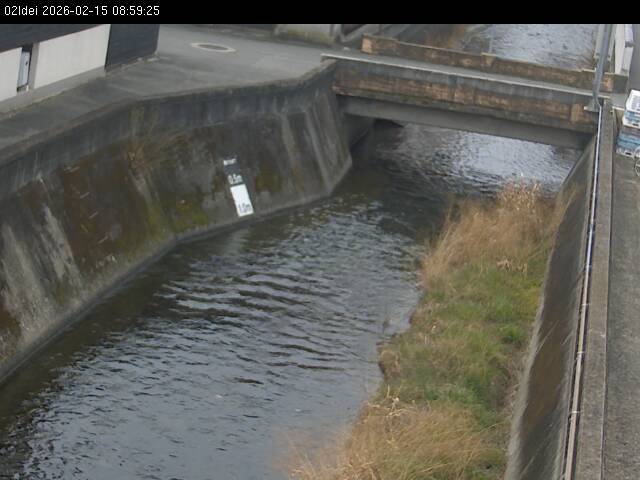 最新監視カメラ画像