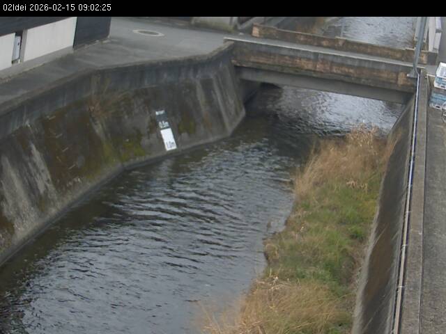 最新監視カメラ画像