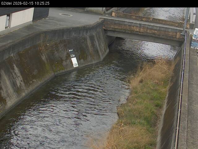 最新監視カメラ画像