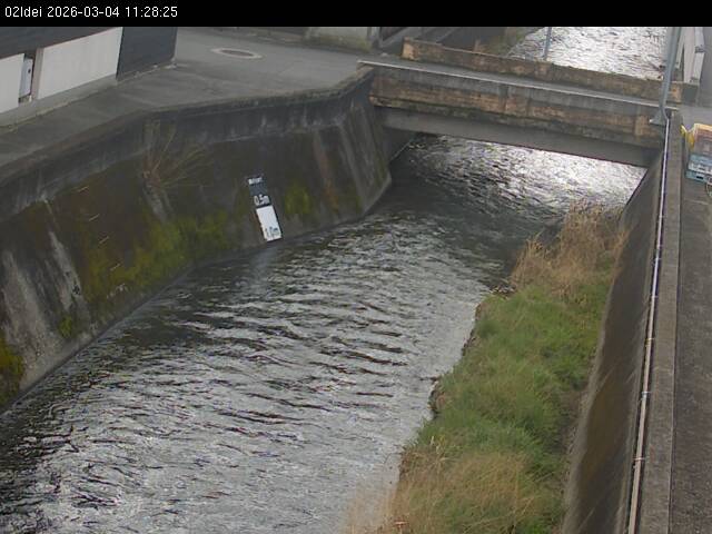 最新監視カメラ画像