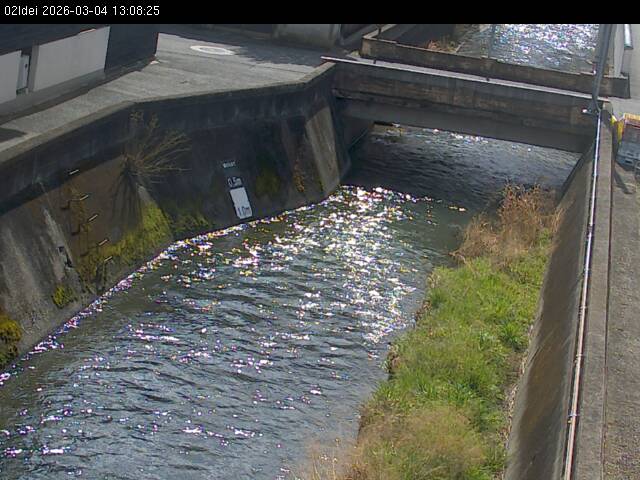 最新監視カメラ画像