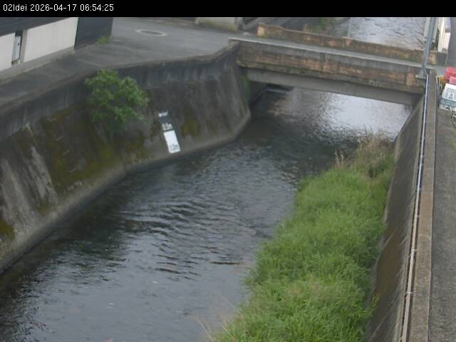 最新監視カメラ画像