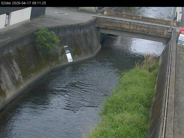 最新監視カメラ画像