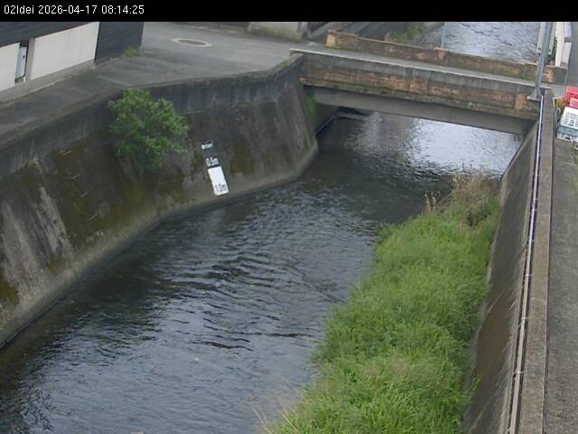 最新監視カメラ画像