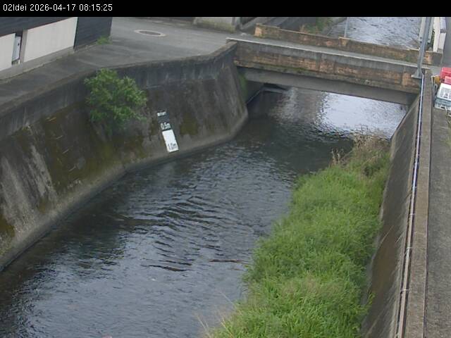 最新監視カメラ画像