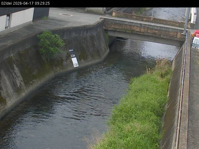 最新監視カメラ画像