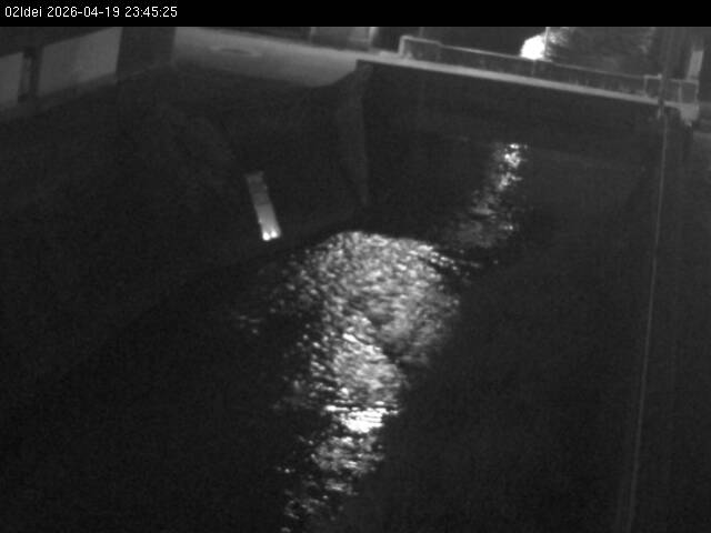 最新監視カメラ画像