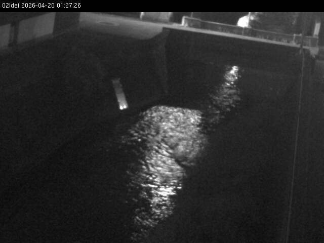 最新監視カメラ画像