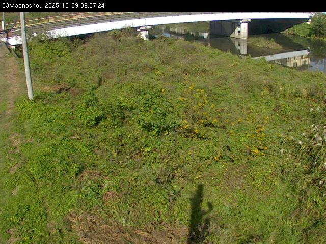 最新監視カメラ画像