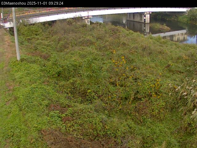 最新監視カメラ画像