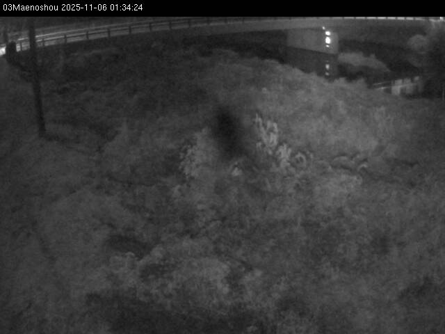 最新監視カメラ画像