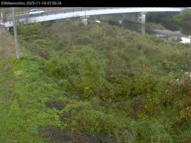 最新監視カメラ画像