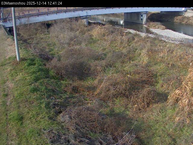 最新監視カメラ画像