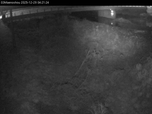 最新監視カメラ画像