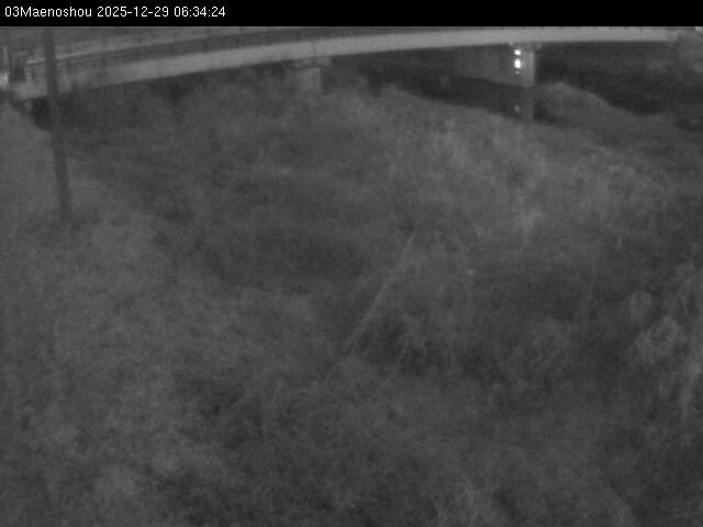 最新監視カメラ画像