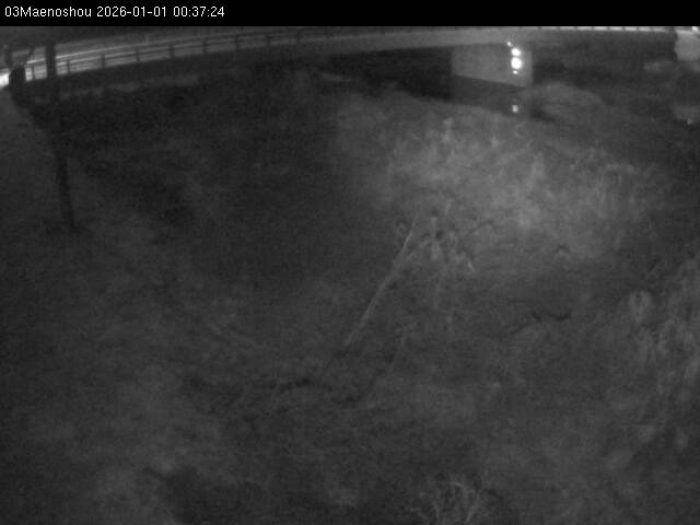 最新監視カメラ画像